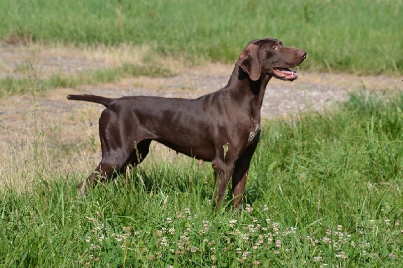 Gina Du Rio Parana